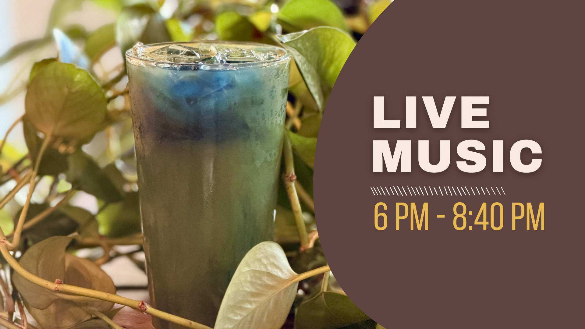 Live Music 6 to 840 pm